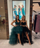 Starfall Tulle Skirt - HIRE - Amy Taylor Collection