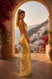 Valencia GOLD Gown HIRE