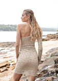 Tayanne Lace Mini Dress - Amy Taylor Collection