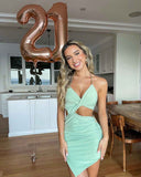 Vixen Mini Dress