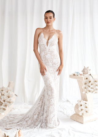 Insigniah Bride - Amy Taylor Collection