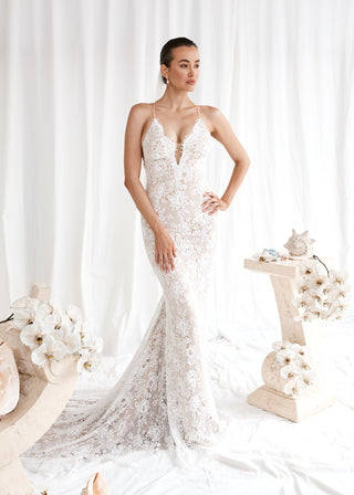 Insigniah Bride - Amy Taylor Collection