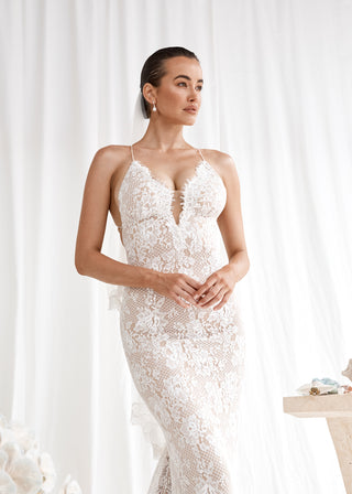 Insigniah Bride - Amy Taylor Collection