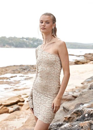 Tayanne Lace Mini Dress - Amy Taylor Collection